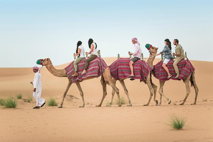 Experience the enchanting beauty of the desert as you ride camels through endless sands creating unforgettable memories amidst the stunning landscape and unique cultural moments.